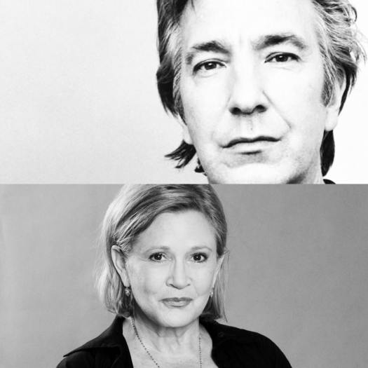 15781771_10210040619185647_898852270977217805_n